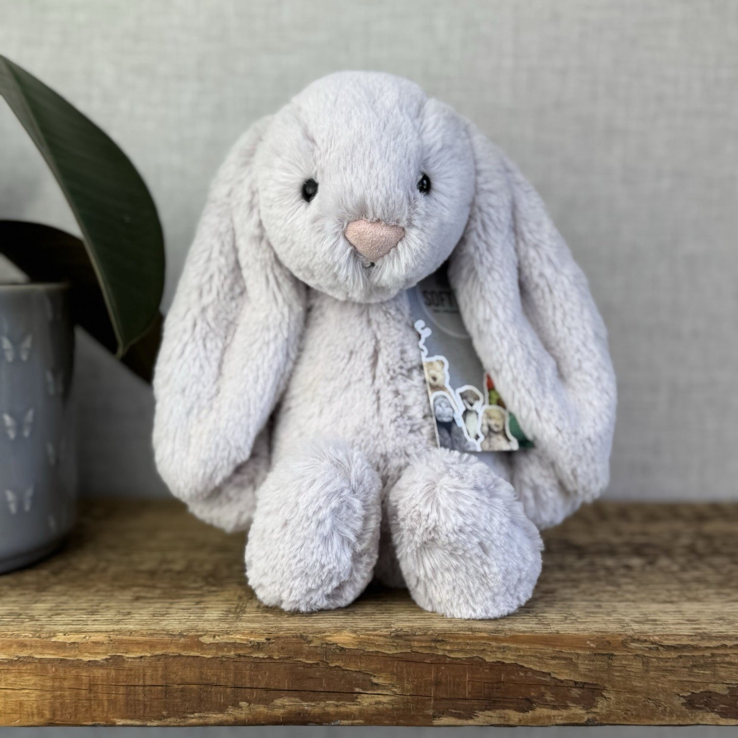 Jellycat Bashful Bunny Lilac - Light Purple Bunny White Tail Rabbit 12” Retired
