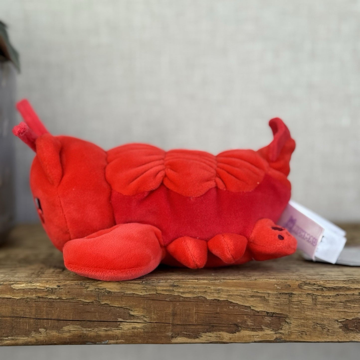 Aphmau MeeMeows Lobster Cat - Red Sea Creature Mystery Plush Toy Collectible 5”