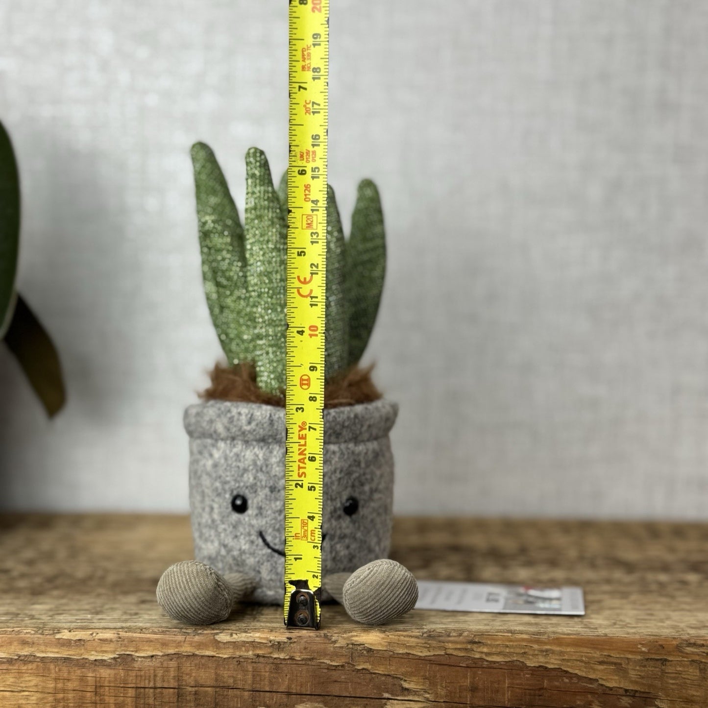 Jellycat Silly Succulent Aloe - Aloe Plant Soft Toy Amuseable Beanie Small 6”