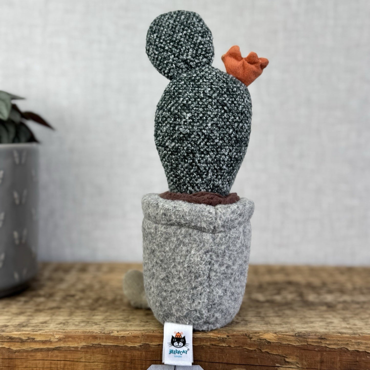 Jellycat Amuseable Silly Prickly Pear Cactus - Small Beanie Plant Soft Toy 10"