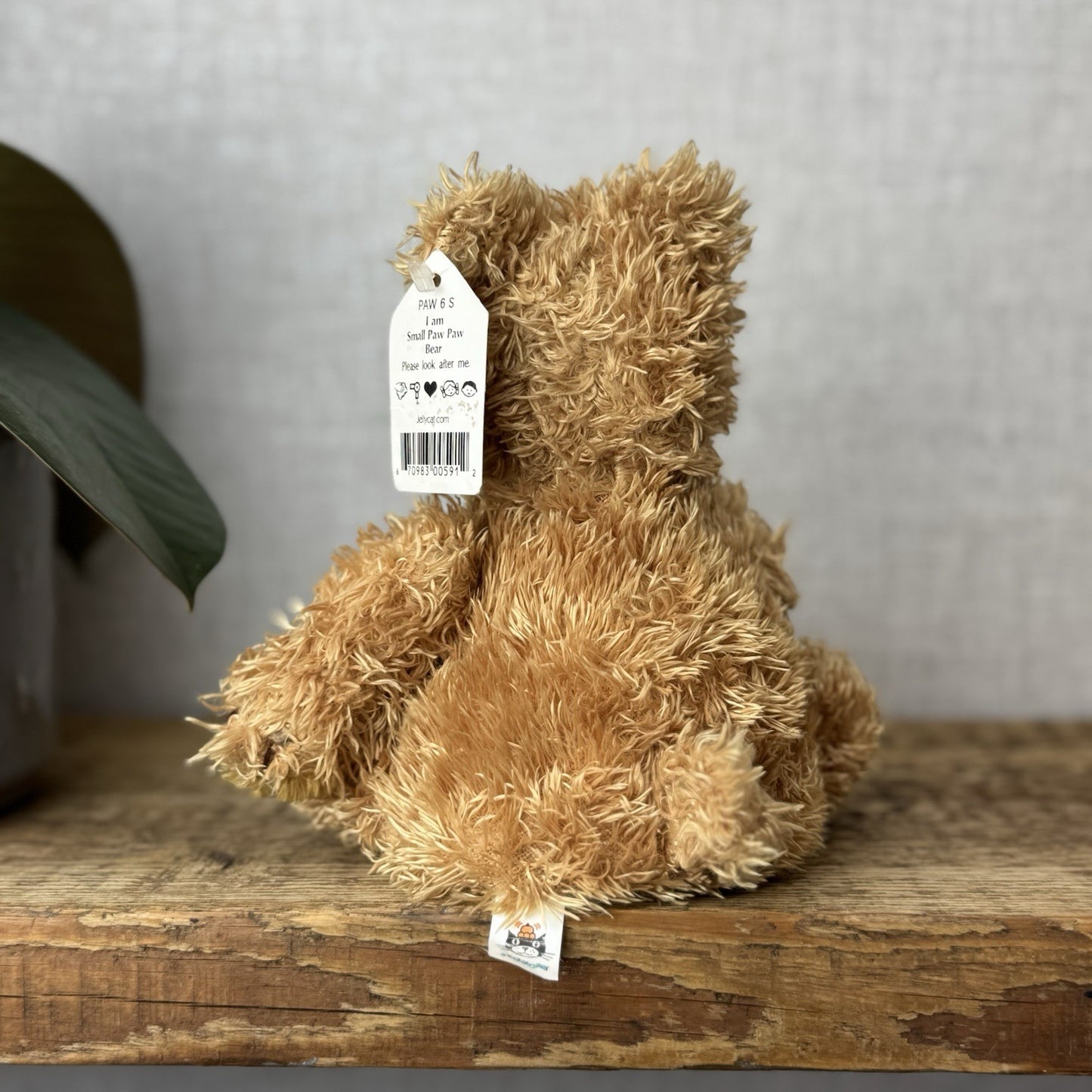Jellycat Small Paw Paw Bear Golden Bear Beanie Vintage Soft Plush Toy Retired 9"
