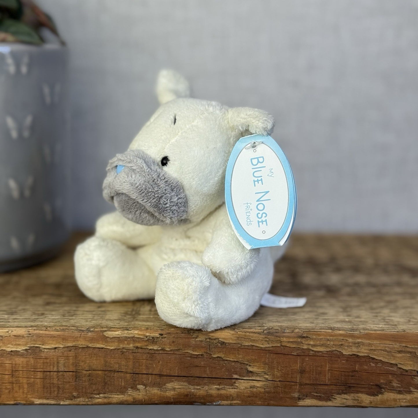 Blue Nose Friends Wrinkles The Boxer Dog - Cream Mini Dog Pal New Tags 5”