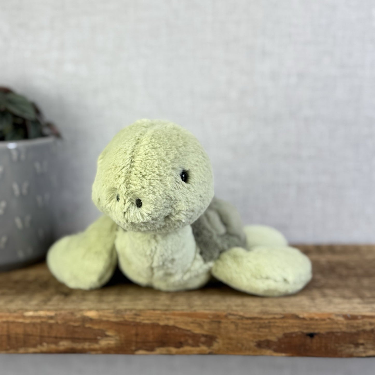 Jellycat Tully Turtle - Medium Beanie Green Soft Toy Turtle With Tags 10"