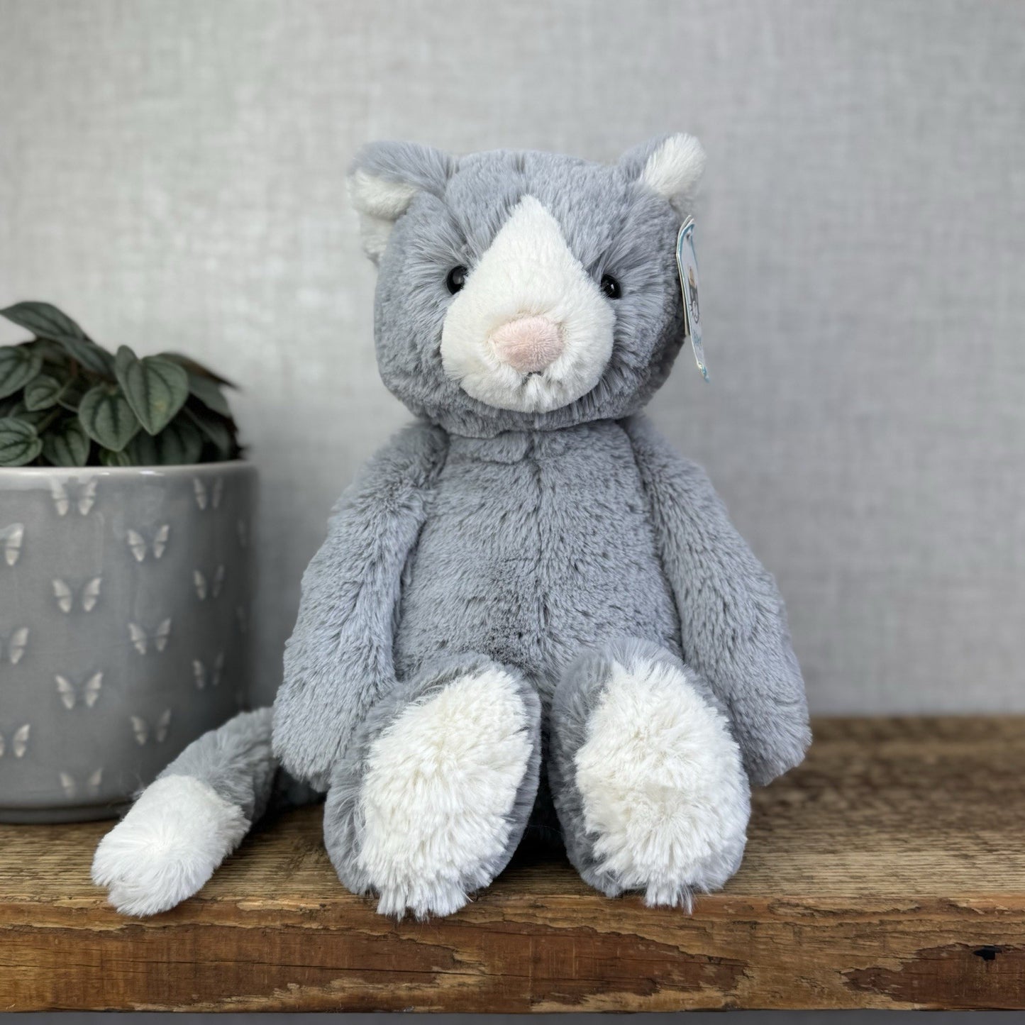 Jellycat Medium Bashful Cat - Grey/White Medium Kitten Plush - With Tags