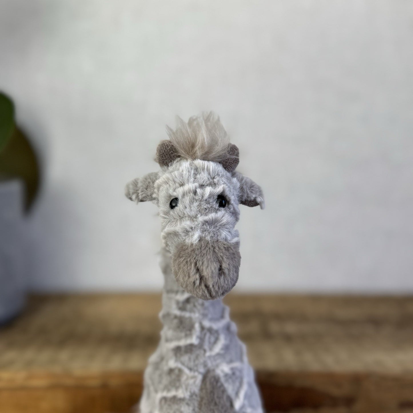 Jellycat Little Joey Giraffe - Small Grey Standing Giraffe Beanie Plush NWOT 8"