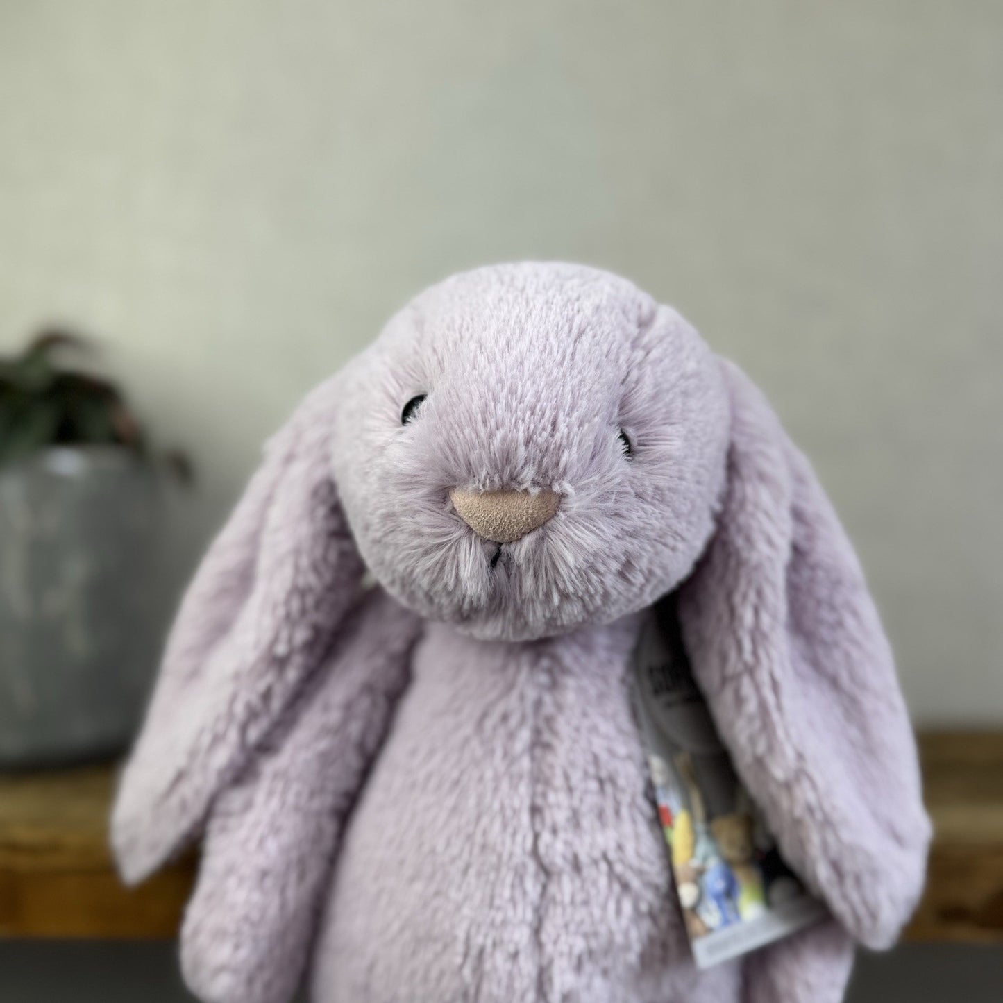 Jellycat Medium Bashful Hyacinth Bunny - Lilac Purple Bunny Rabbit 12”