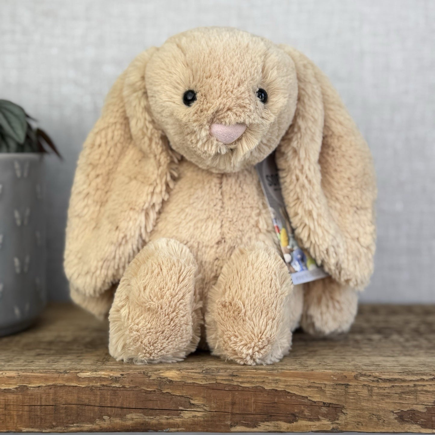 Jellycat Medium Bashful Honey Bunny - Retired Honey Bunny Plush Rabbit 12"
