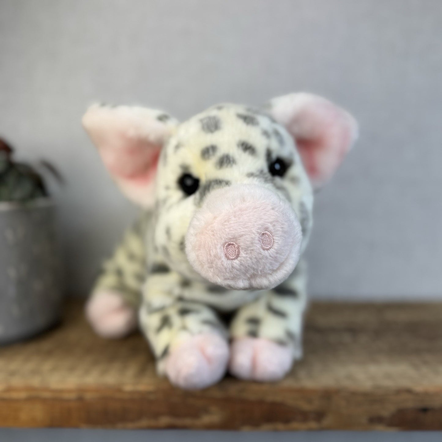Douglas Cuddle Toys - Pauline Spotted Pig Cream/Grey Pig Medium 10"