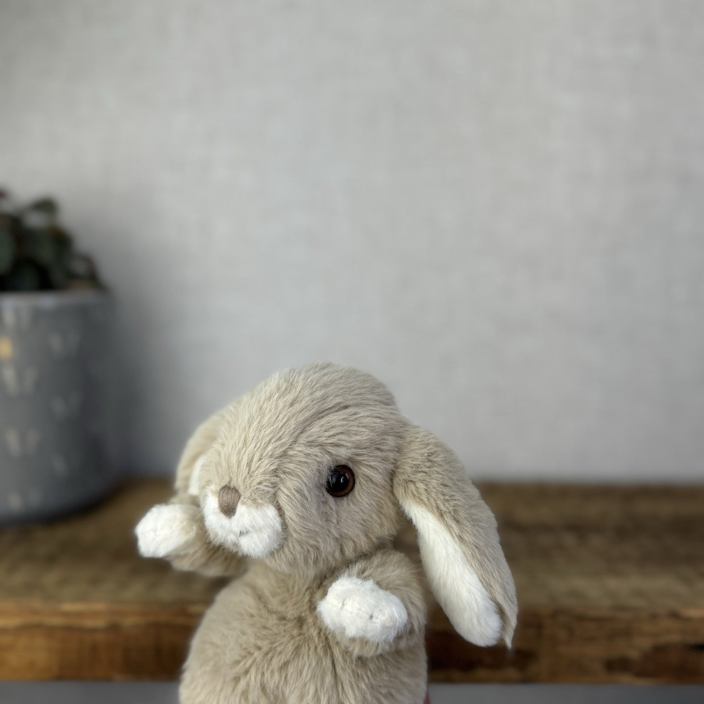 Barbara Bukowski Kanini Bunny Rabbit - Soft Toy Kanini Bunny Small Taupe Brown
