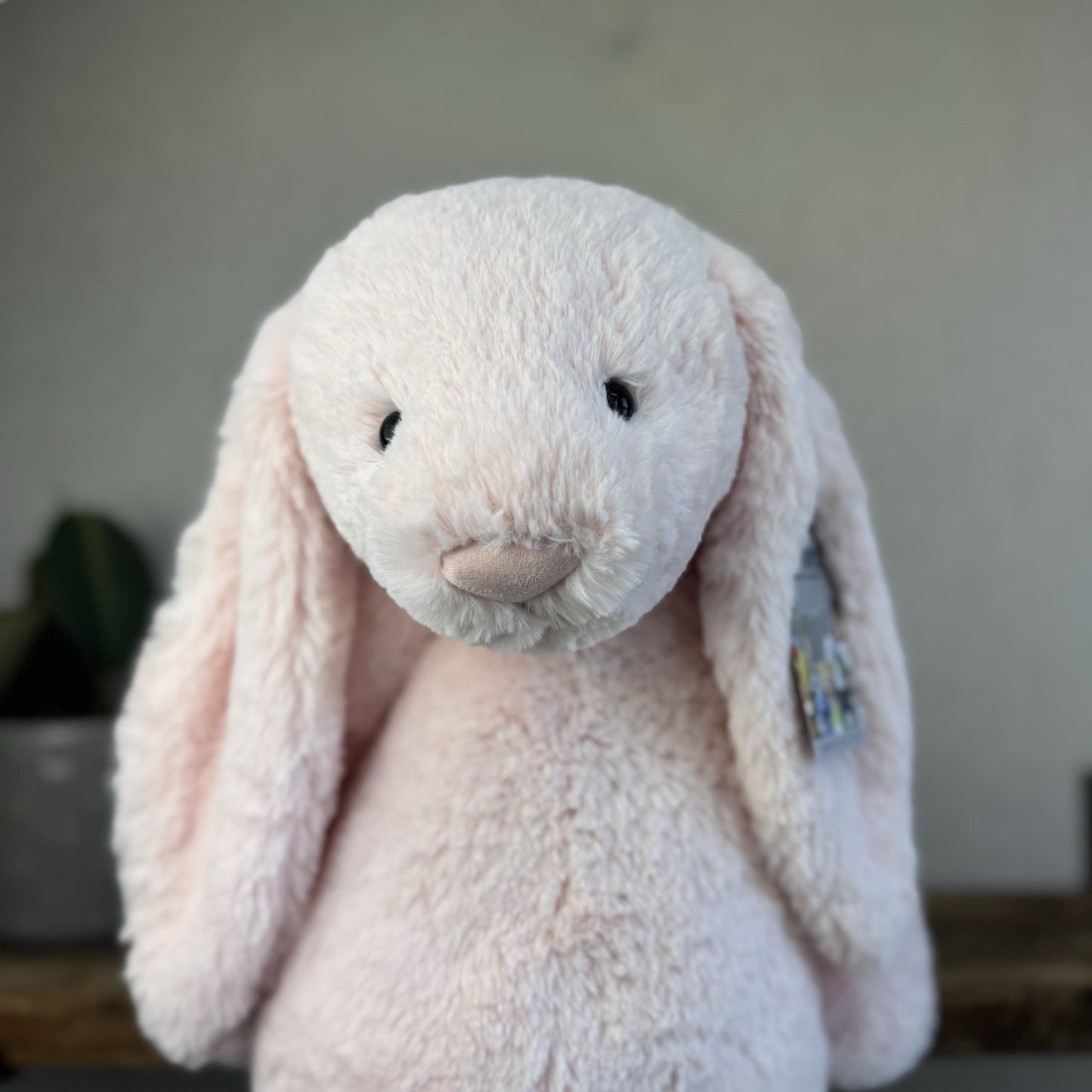 Jellycat Huge Bashful Pink Bunny - Large Baby Pink Bunny - Huge Rabbit 20"