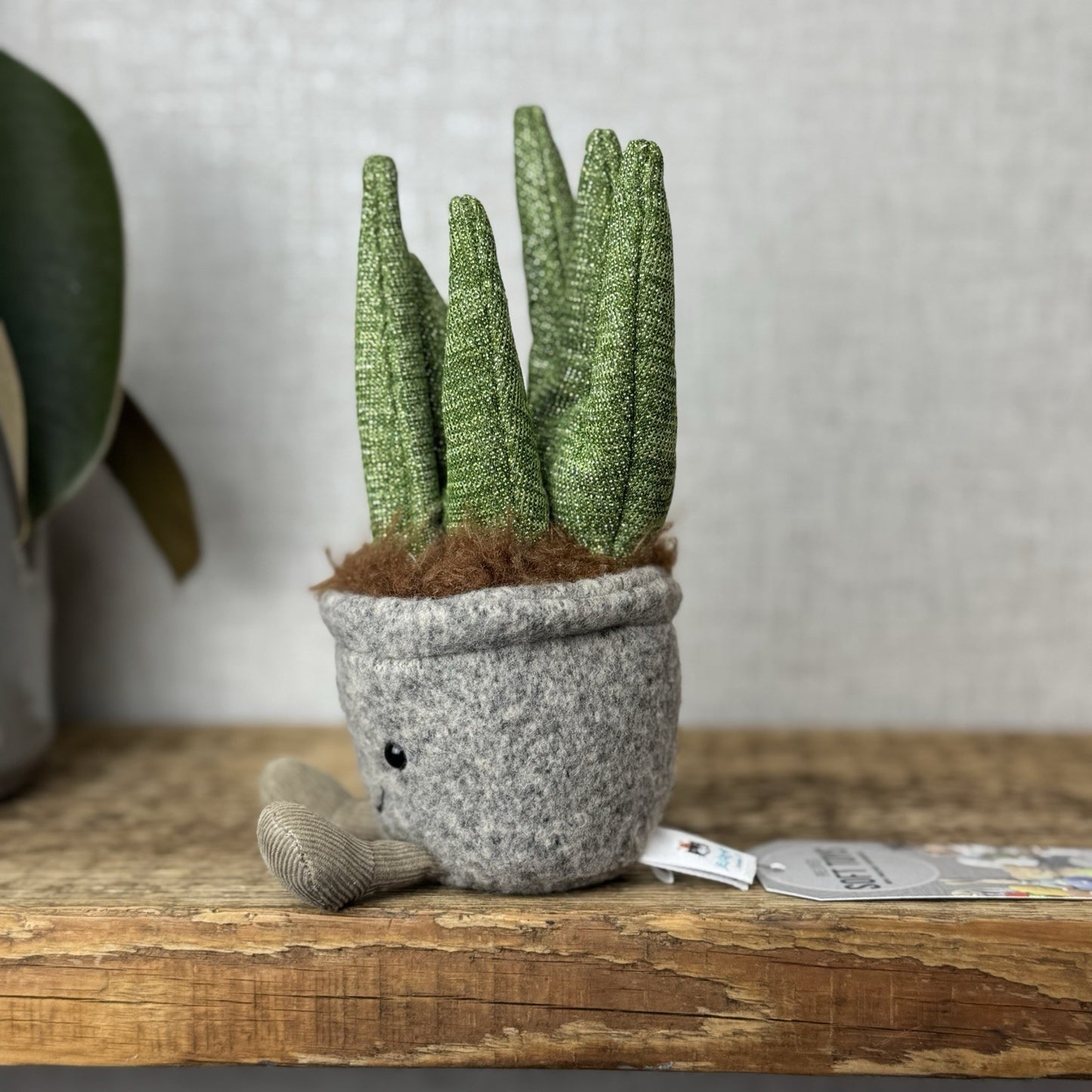 Jellycat Silly Succulent Aloe - Aloe Plant Soft Toy Amuseable Beanie Small 6”