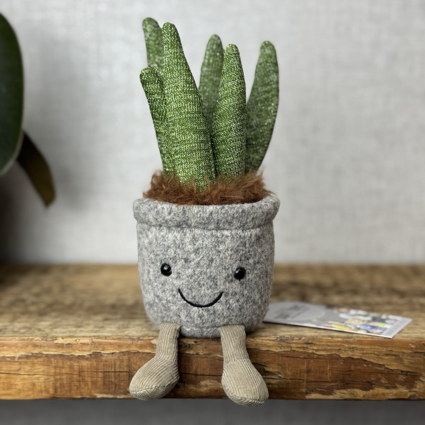 Jellycat Silly Succulent Aloe - Aloe Plant Soft Toy Amuseable Beanie Small 6”