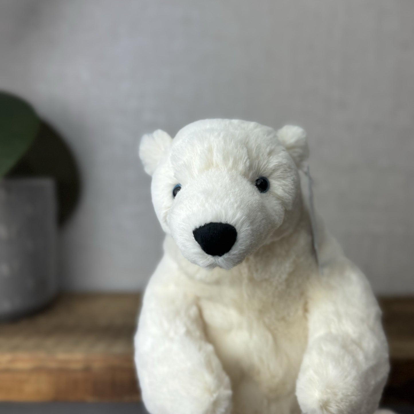 Jellycat Small Elwin Polar Bear - White Sitting Bear Plush Blue Eyes with tags