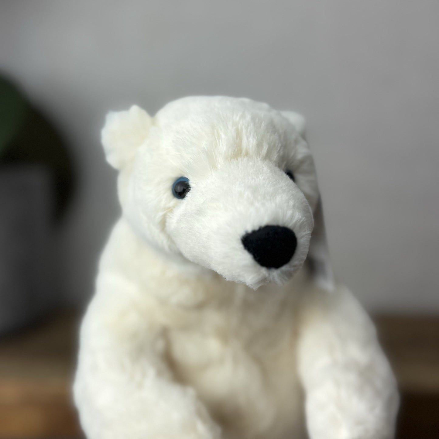 Jellycat Small Elwin Polar Bear - White Sitting Bear Plush Blue Eyes with tags