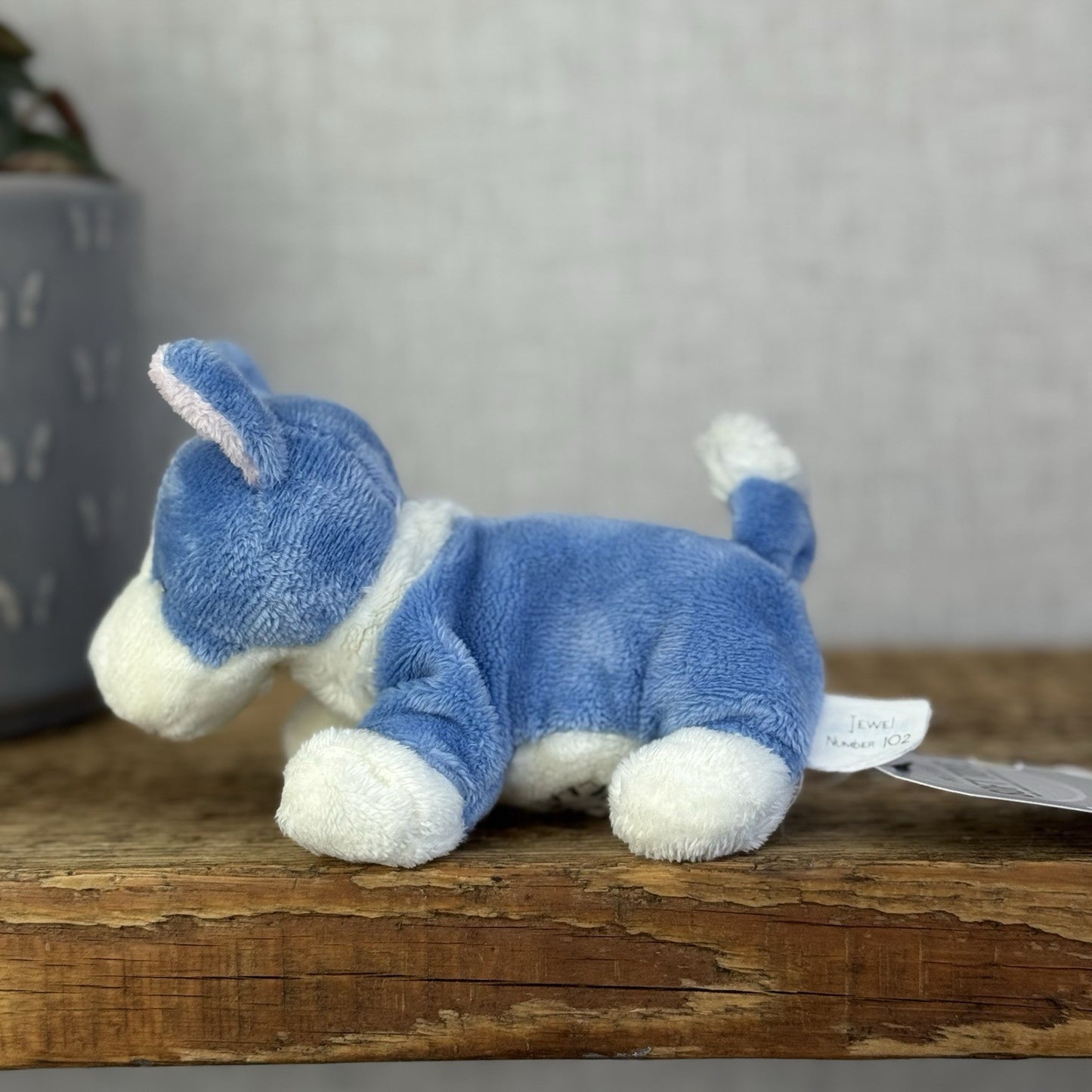Blue Nose Friends #102 Jewel - Mini Corgi Blue Plush Beanbag Toy 5"