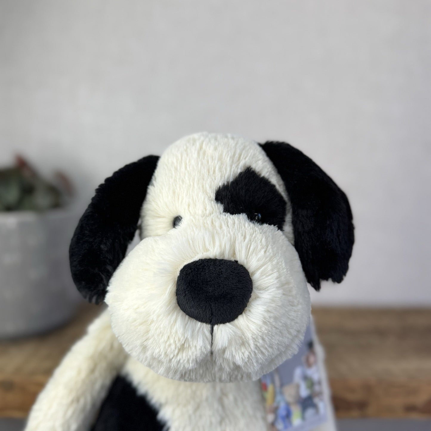 Jellycat Large Bashful Black/cream Puppy Dog - Large Dog Plush Retired Rare 16”