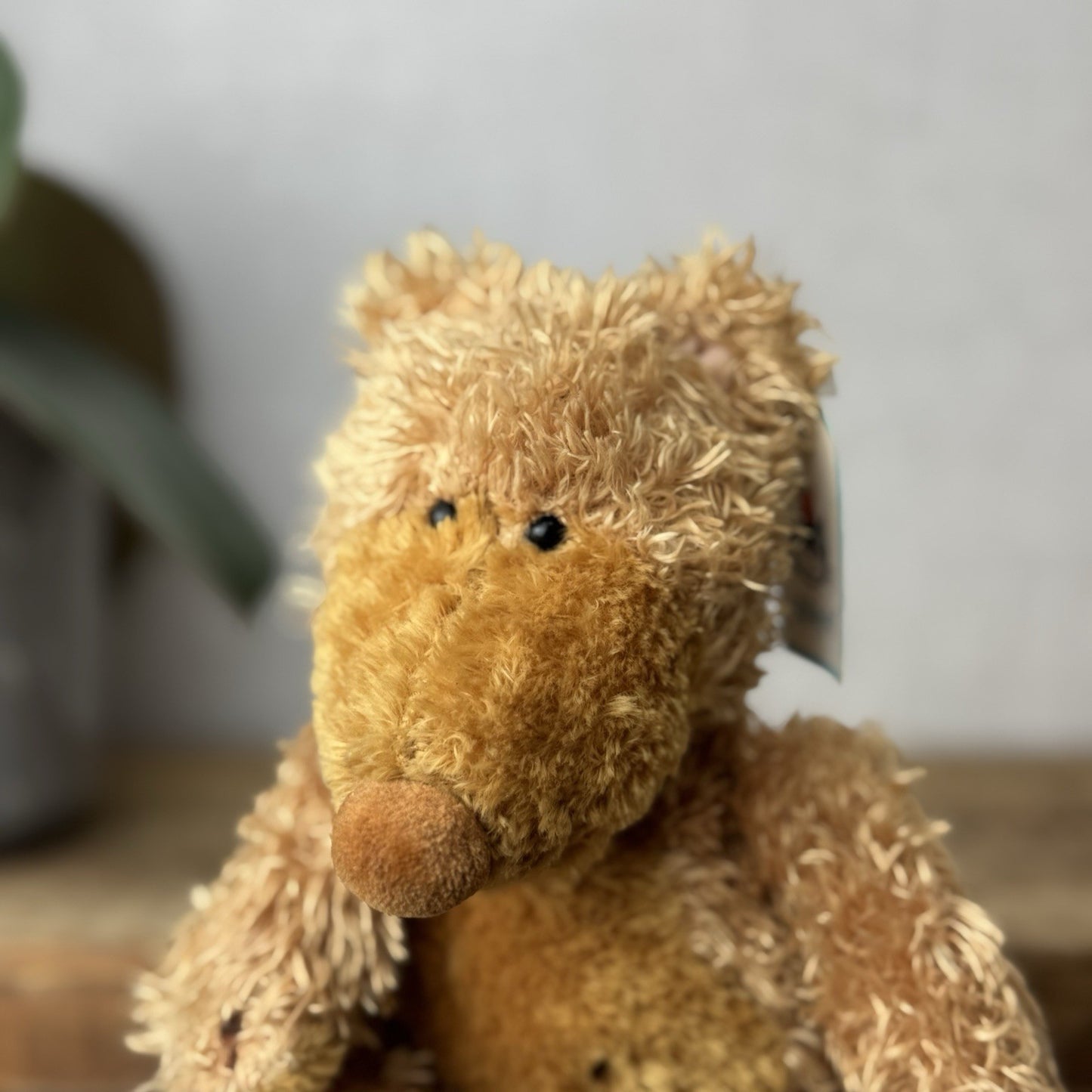 Jellycat Small Paw Paw Bear Golden Bear Beanie Vintage Soft Plush Toy Retired 9"