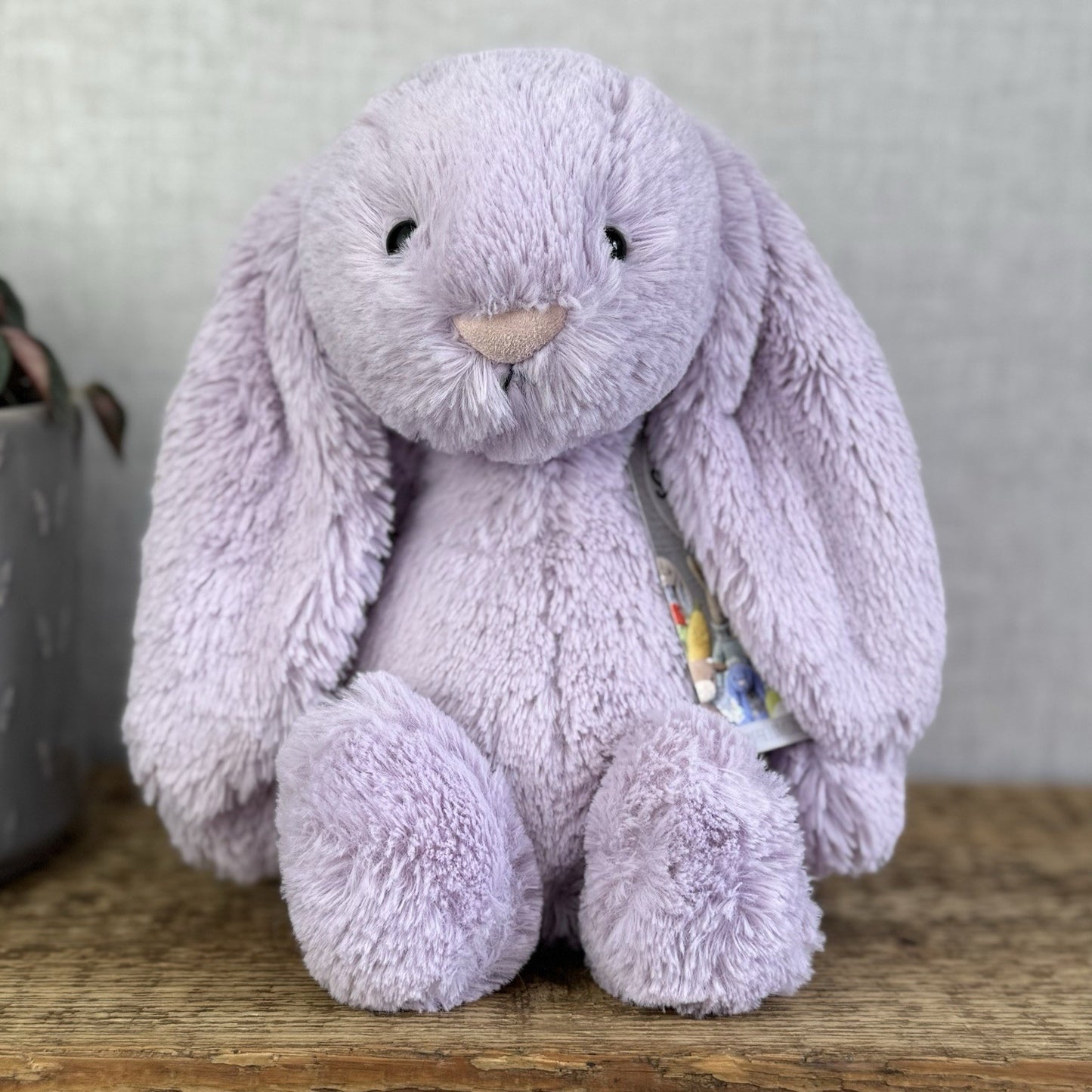 Jellycat Medium Bashful Hyacinth Bunny - Lilac Purple Bunny Rabbit 12”