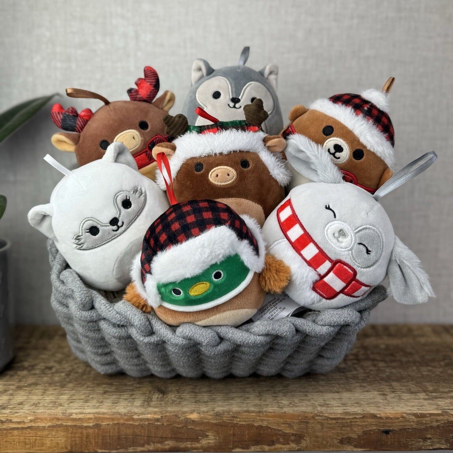 Squishmallows Holiday Winter Squad - Squishmallow Christmas Decorations 5” x7