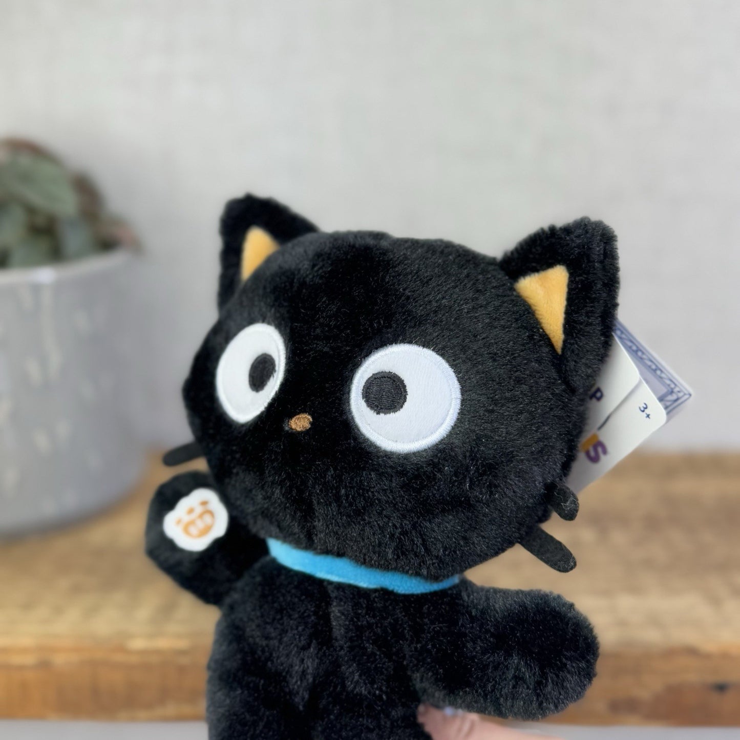 Build A Bear Mini Beans ChocoCat - Sanrio Mini Beanbag Plush Toy New With Tags
