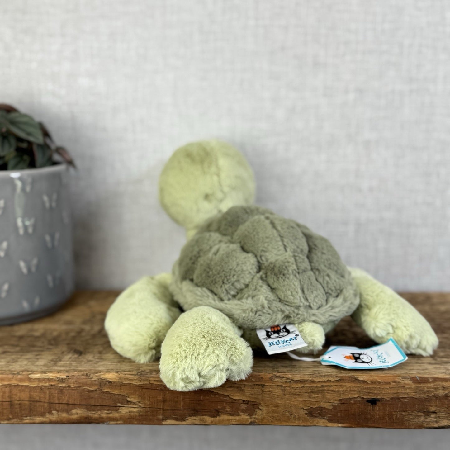 Jellycat Tully Turtle - Medium Beanie Green Soft Toy Turtle With Tags 10"
