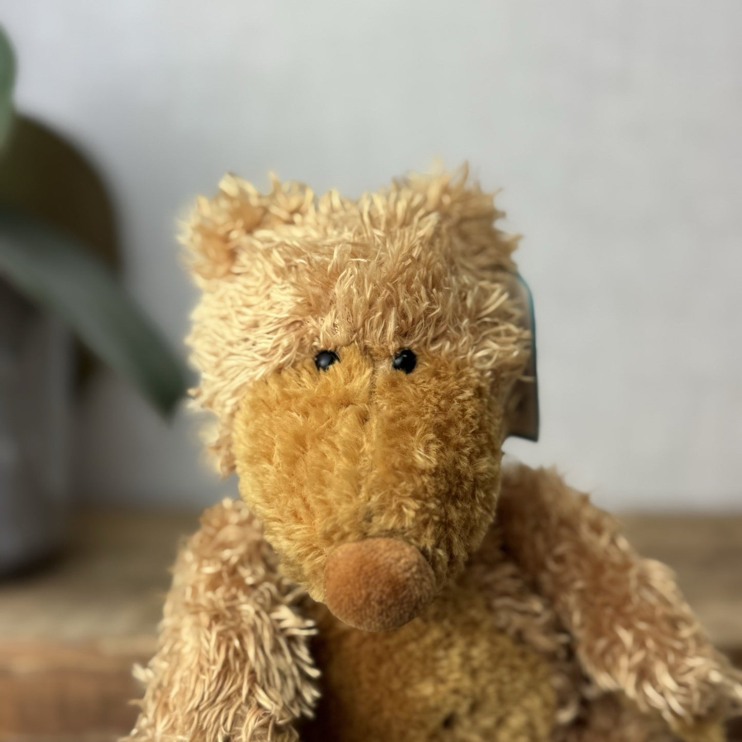 Jellycat Small Paw Paw Bear Golden Bear Beanie Vintage Soft Plush Toy Retired 9"