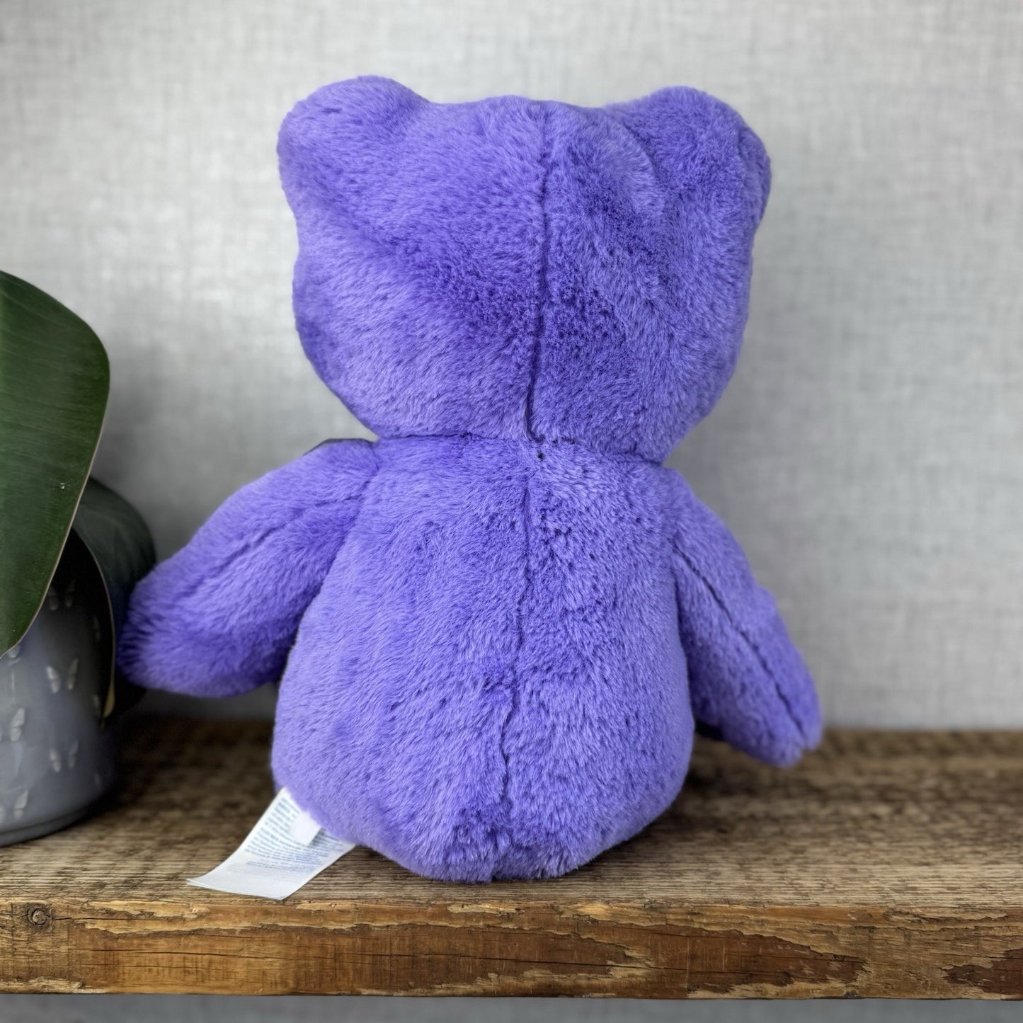 Build a Bear Hoppy Purple Lavender Spring Frog - Purple Frog BAB Retired 17”