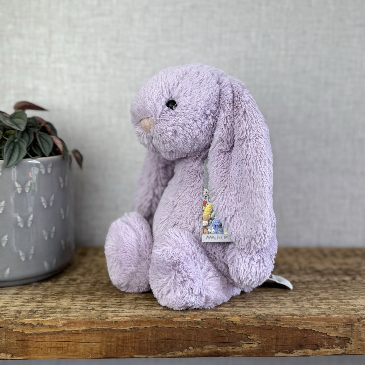 Jellycat Medium Bashful Hyacinth Bunny - Lilac Purple Bunny Rabbit 12”