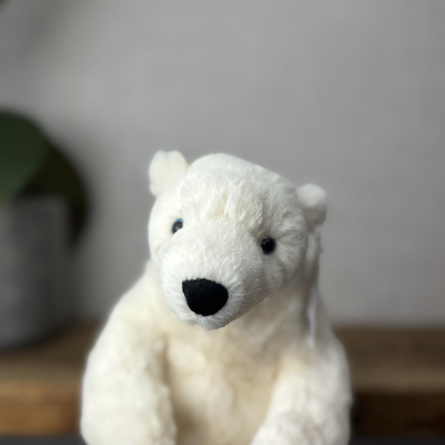 Jellycat Small Elwin Polar Bear - White Sitting Bear Plush Blue Eyes with tags