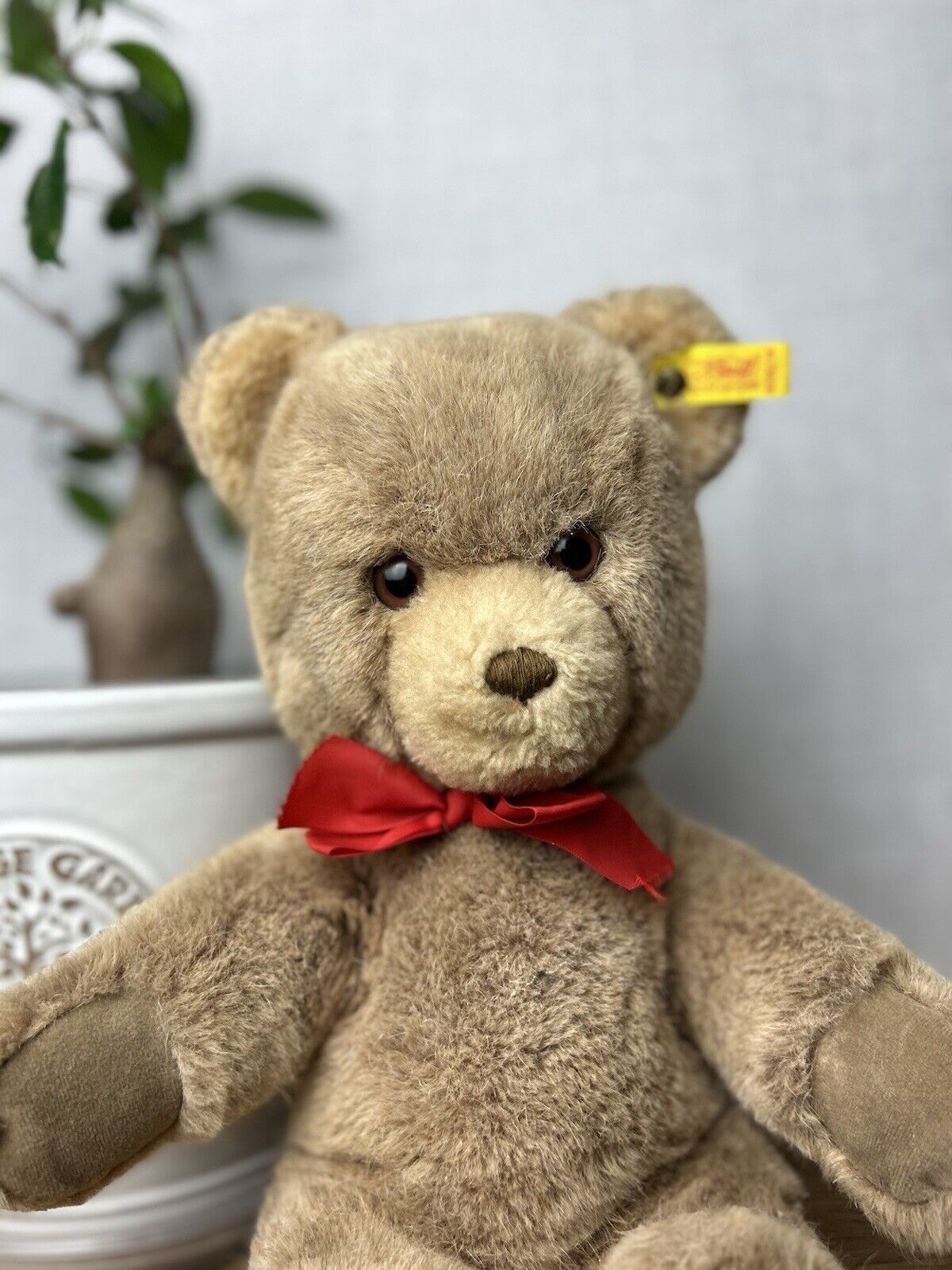 Vintage Steiff Plush Sitting Teddy 0205/35 - Vintage Steiff Teddy Bear Medium