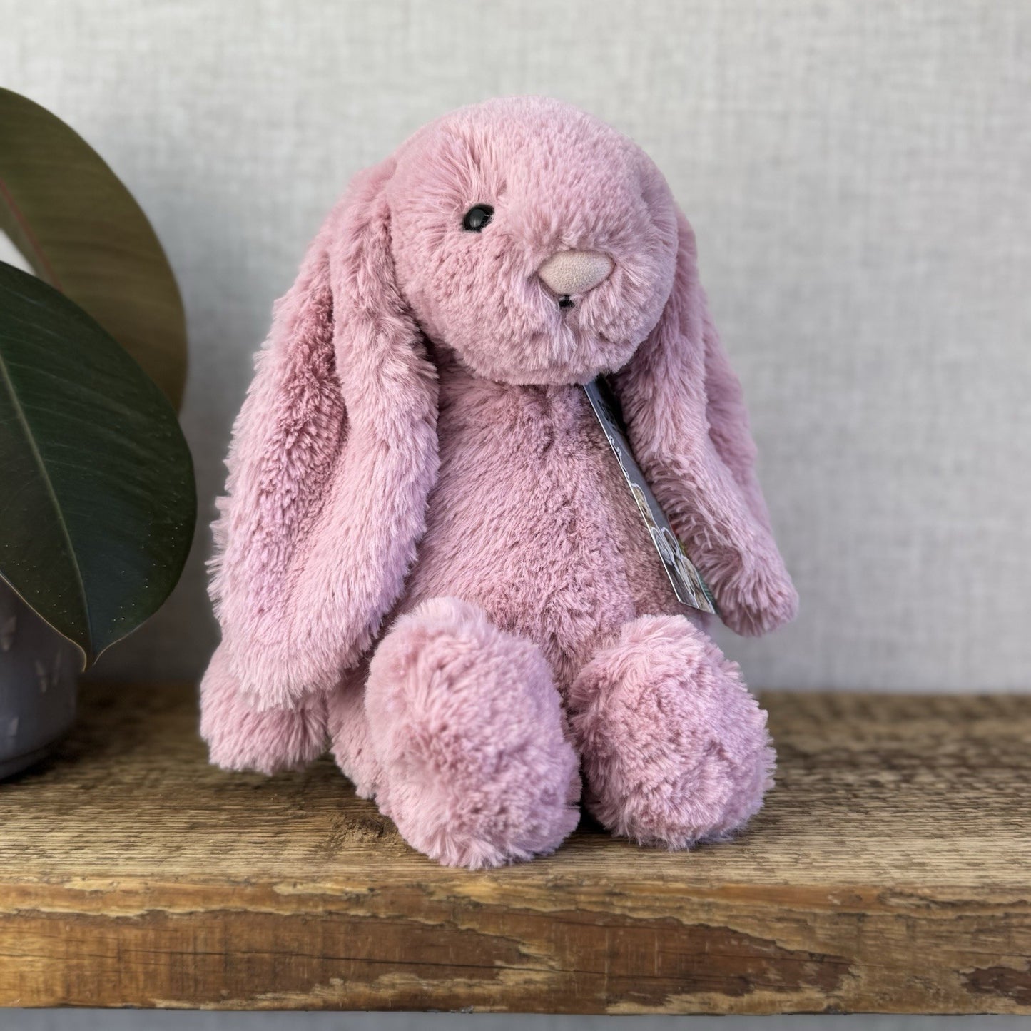 Jellycat Medium Bashful Tulip Bunny - Pink Rabbit Beanie Plush Medium 12" (#3)