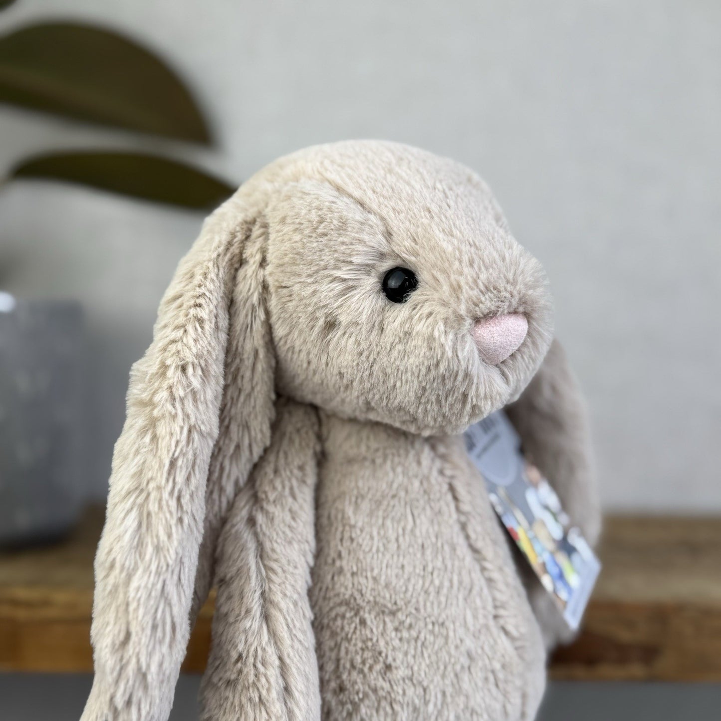 Jellycat Medium Bashful Beige Bunny - Light Brown Bunny Soft Toy Beanie 12” NWOT