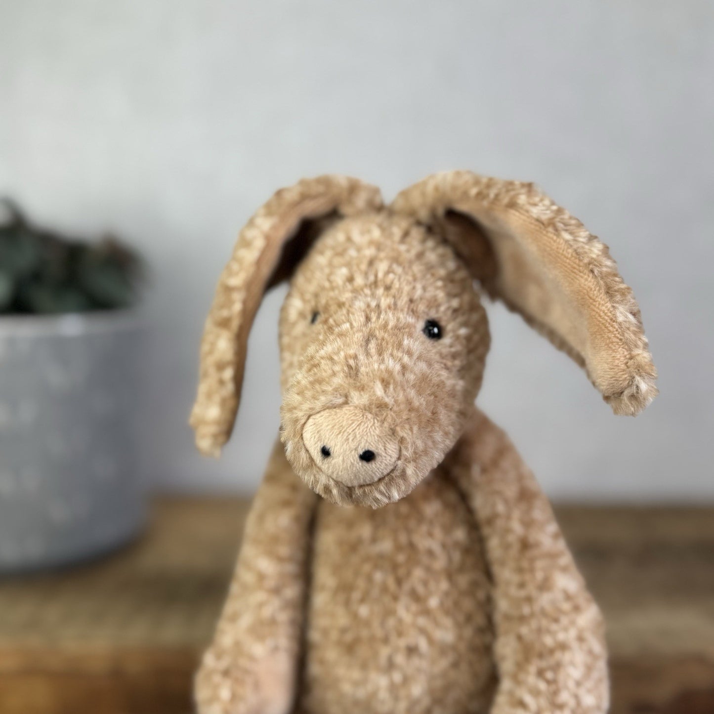 Jellycat Alan Aardvark - Orange/Brown Mix Aardvark Beanie Plush Retired 12"
