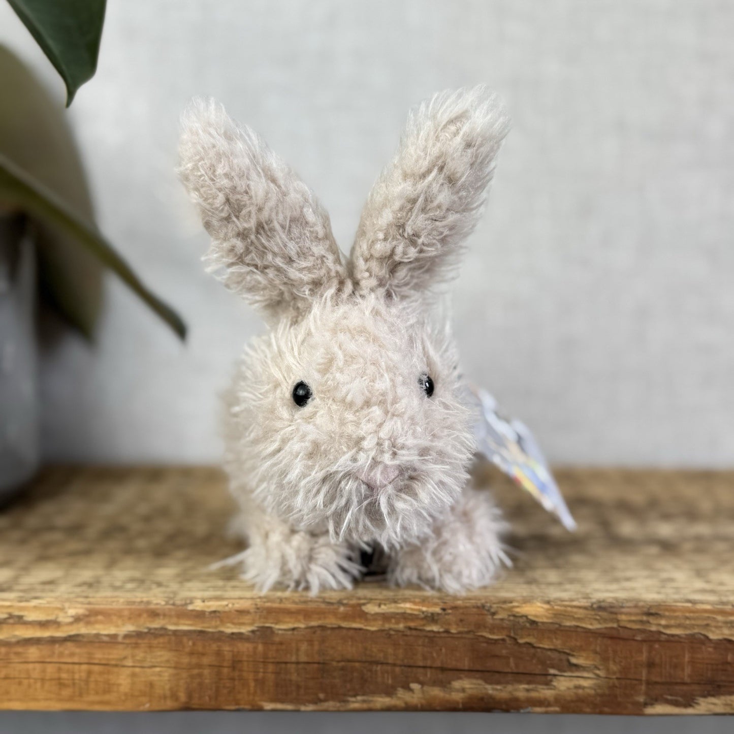 Jellycat Beige Hoppity Bunny Curly Fur Fluffy Angora Bunny Rabbit Small 6”