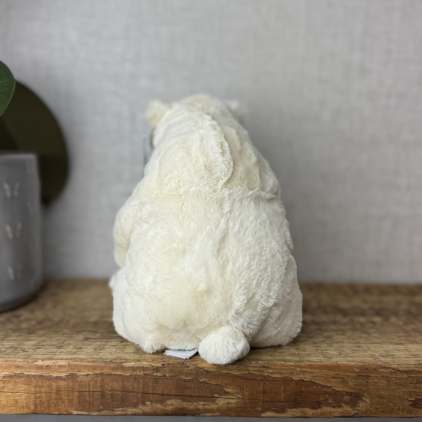 Jellycat Small Elwin Polar Bear - White Sitting Bear Plush Blue Eyes with tags