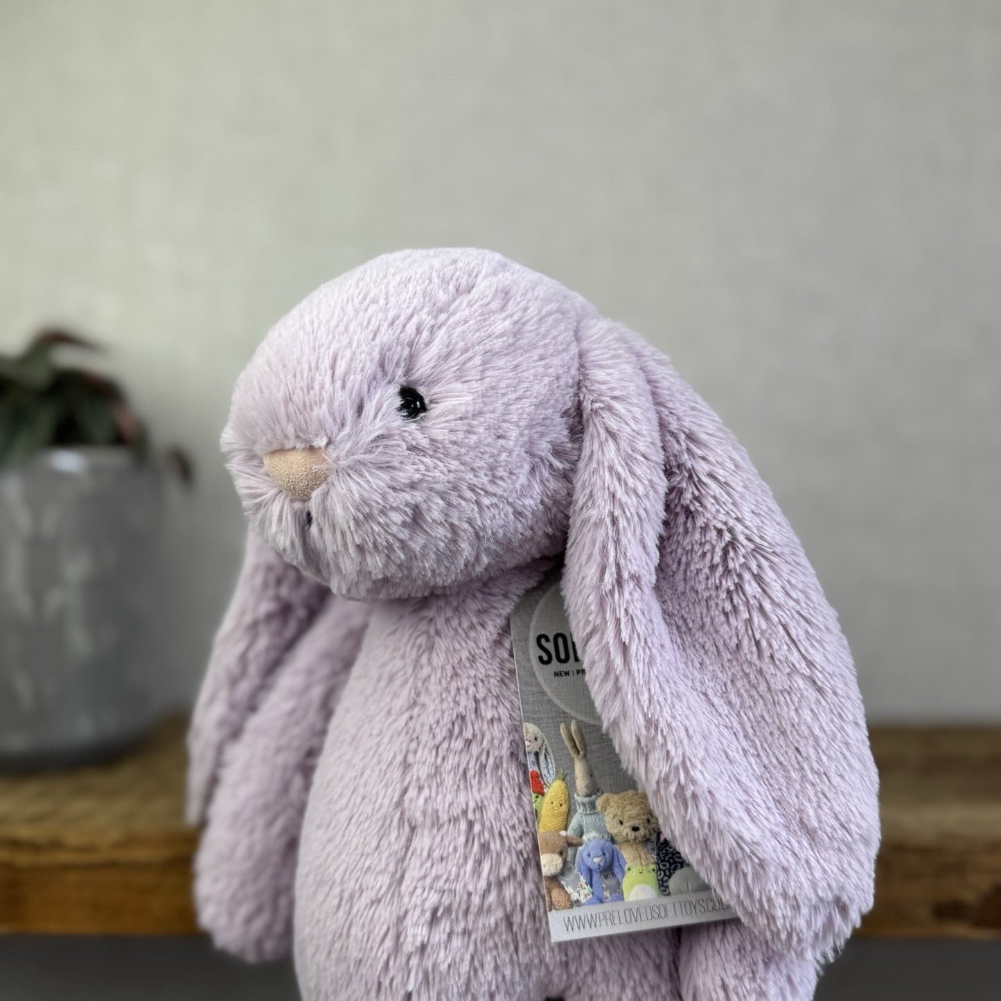 Jellycat Medium Bashful Hyacinth Bunny - Lilac Purple Bunny Rabbit 12”