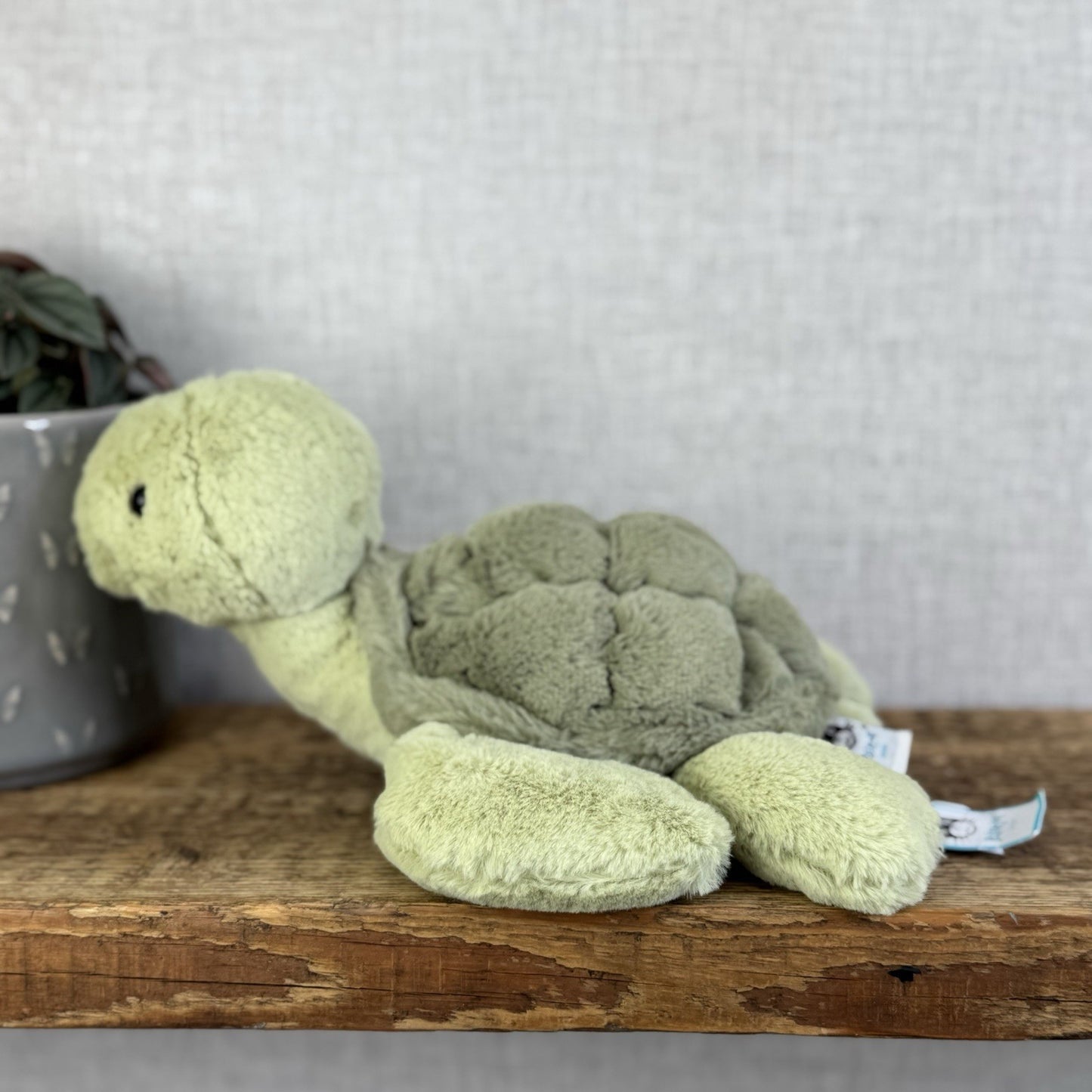 Jellycat Tully Turtle - Medium Beanie Green Soft Toy Turtle With Tags 10"