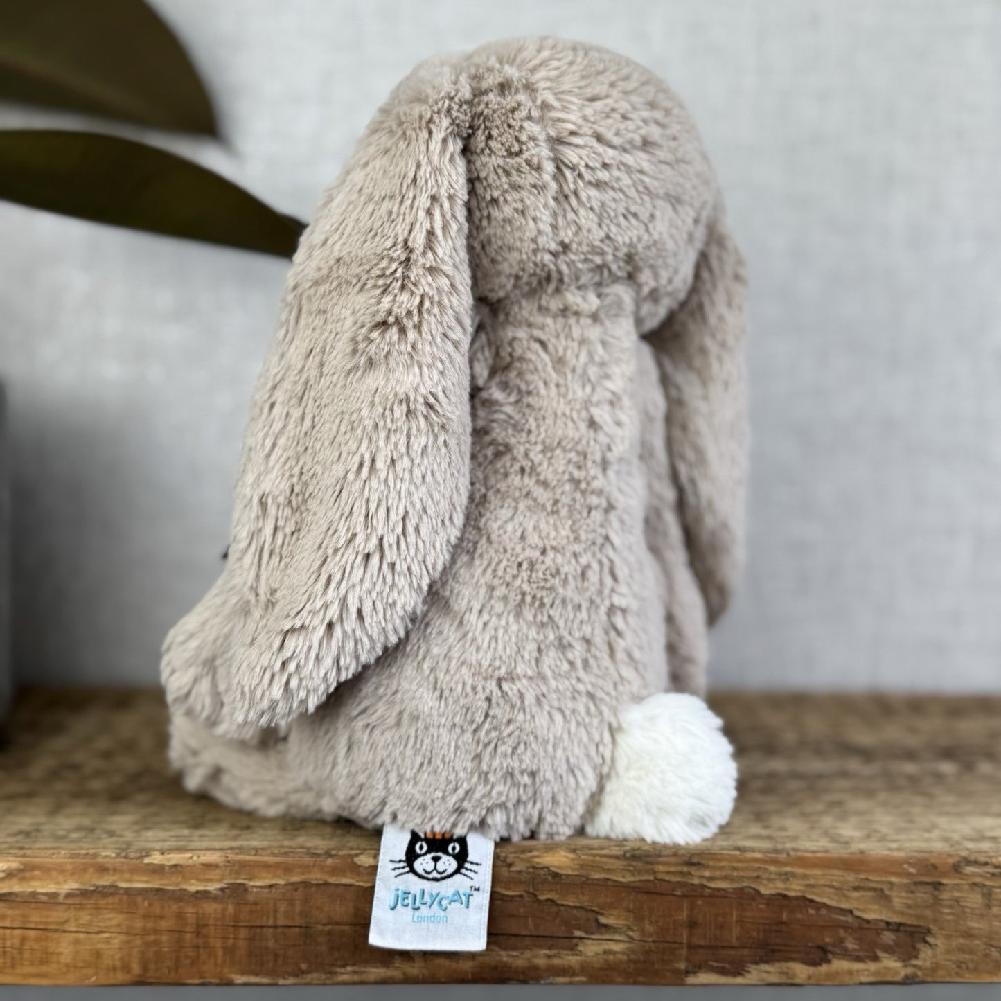 Jellycat Medium Bashful Beige Bunny - Light Brown Bunny Soft Toy Beanie 12” NWOT
