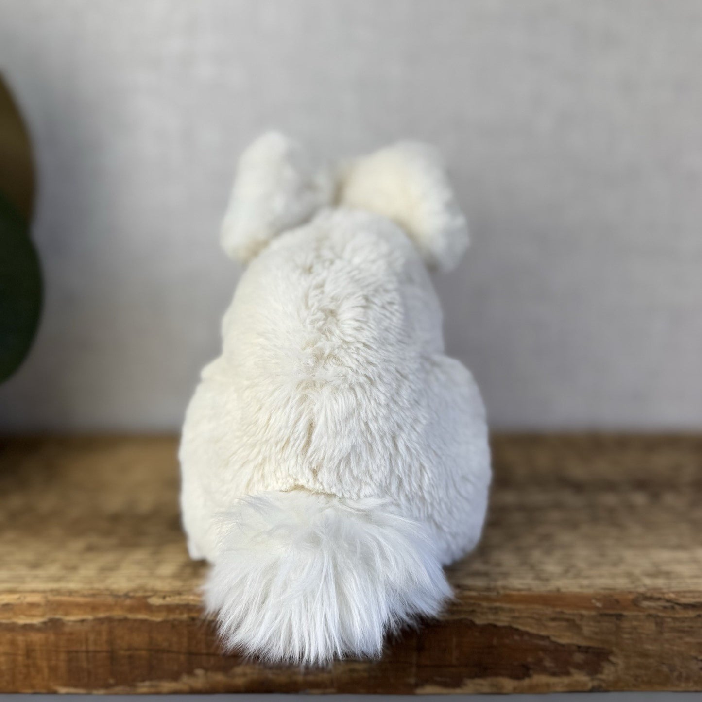 Jellycat Small Riley Bunny - Cream Lop Ear Bunny Rabbit Soft Toy Retired 7”