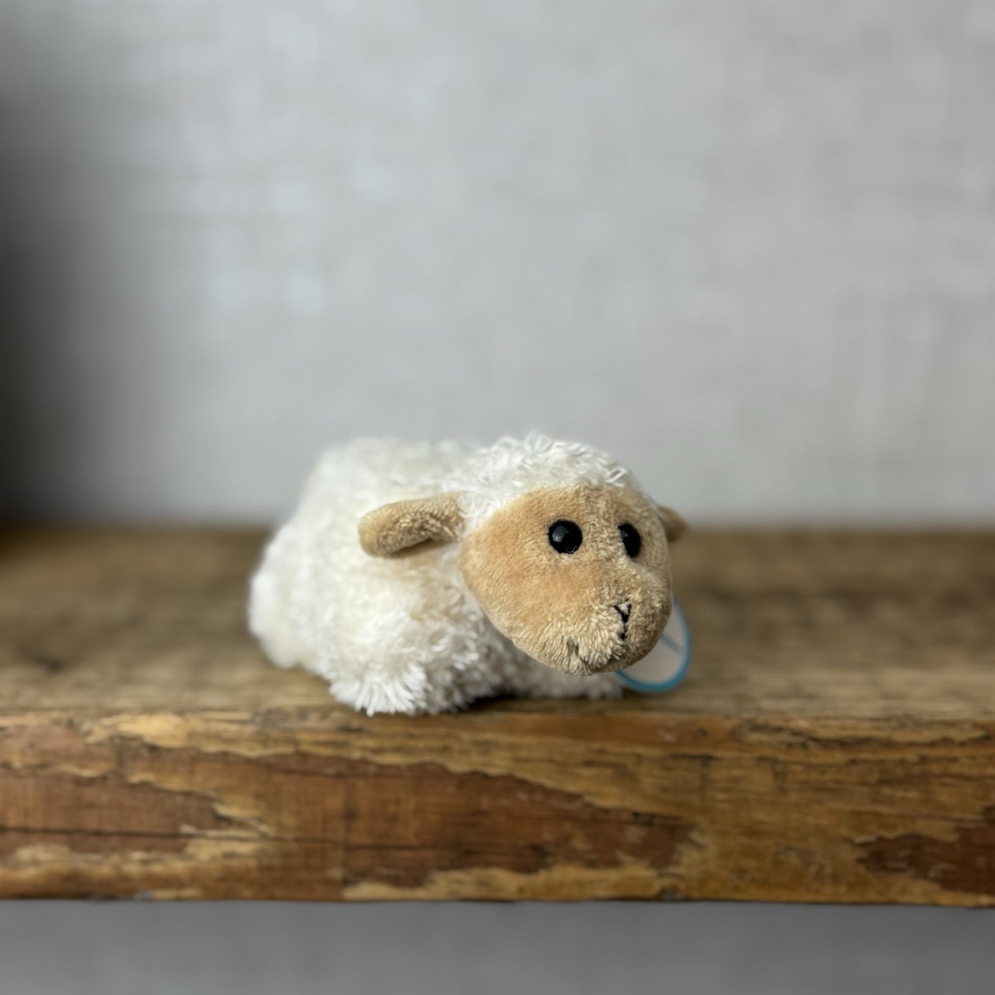 Jellycat Rare Bobtail Sheep - Collectible Lamb (misprinted Tag) Tiny Vintage 4”