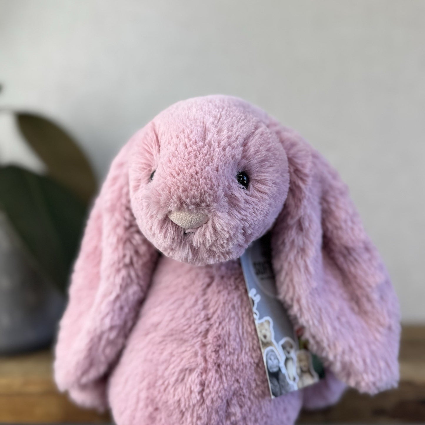 Jellycat Medium Bashful Tulip Bunny - Pink Rabbit Beanie Plush Medium 12" (#3)