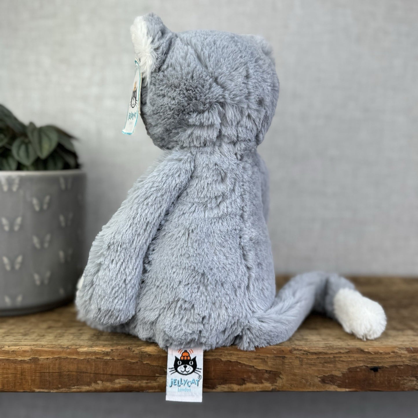Jellycat Medium Bashful Cat - Grey/White Medium Kitten Plush - With Tags