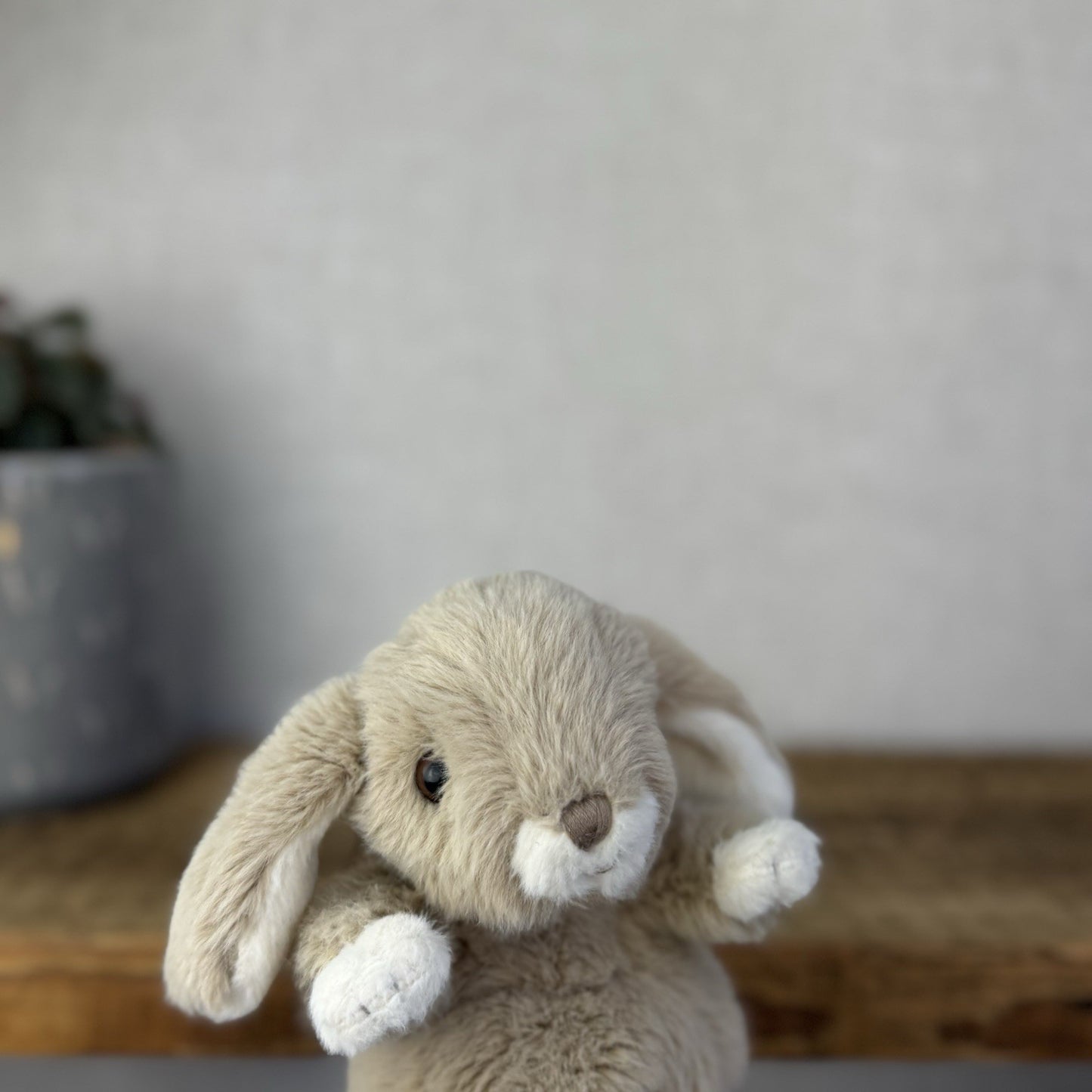 Barbara Bukowski Kanini Bunny Rabbit - Soft Toy Kanini Bunny Small Taupe Brown
