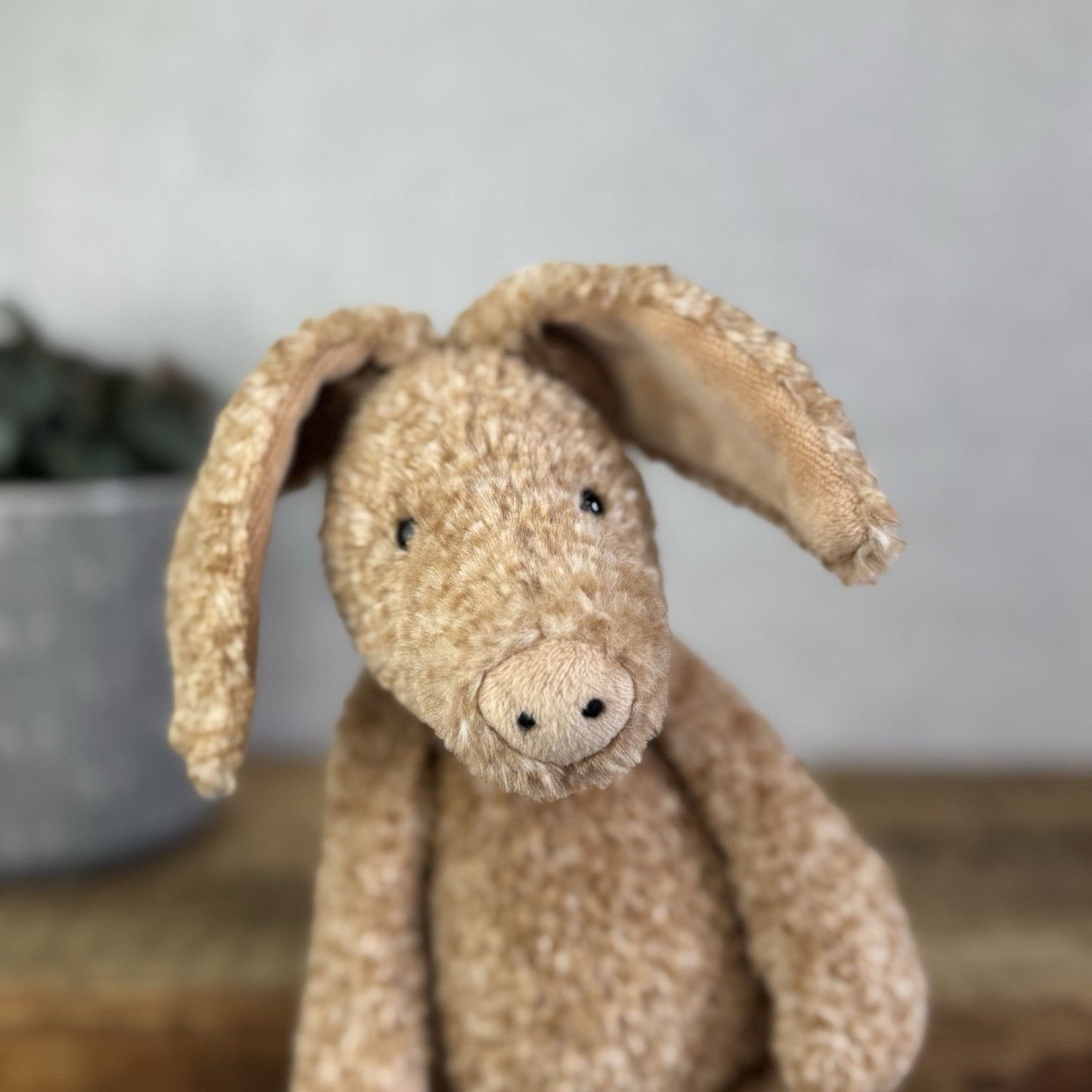 Jellycat Alan Aardvark - Orange/Brown Mix Aardvark Beanie Plush Retired 12"