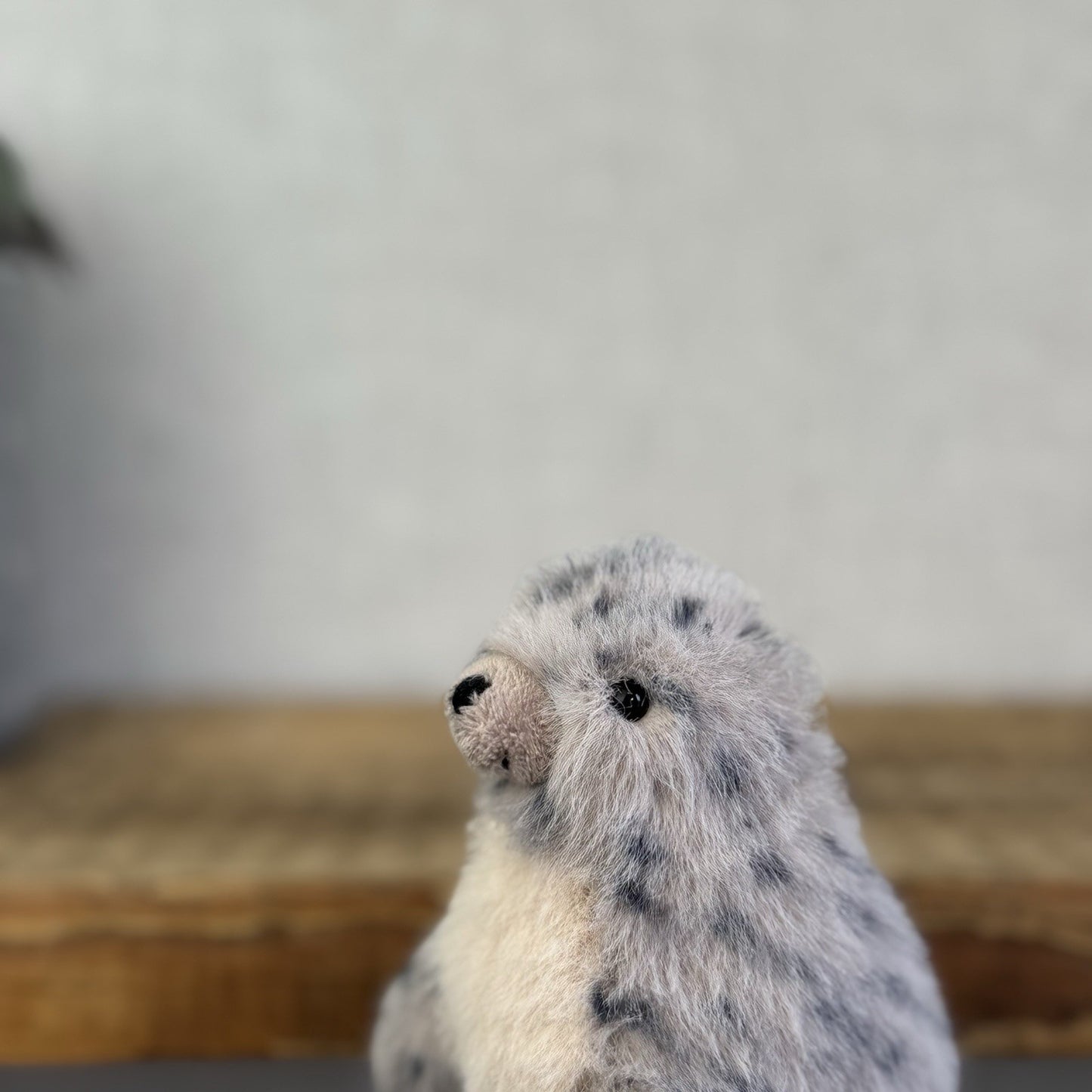 Jellycat Nauticool Spotty Seal - Mini Fluffy Grey Spotty Seal Beanie Plush Tags