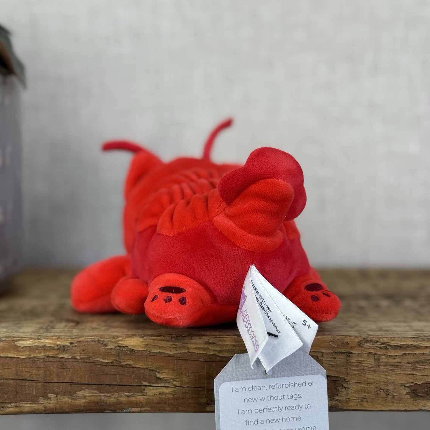 Aphmau MeeMeows Lobster Cat - Red Sea Creature Mystery Plush Toy Collectible 5”