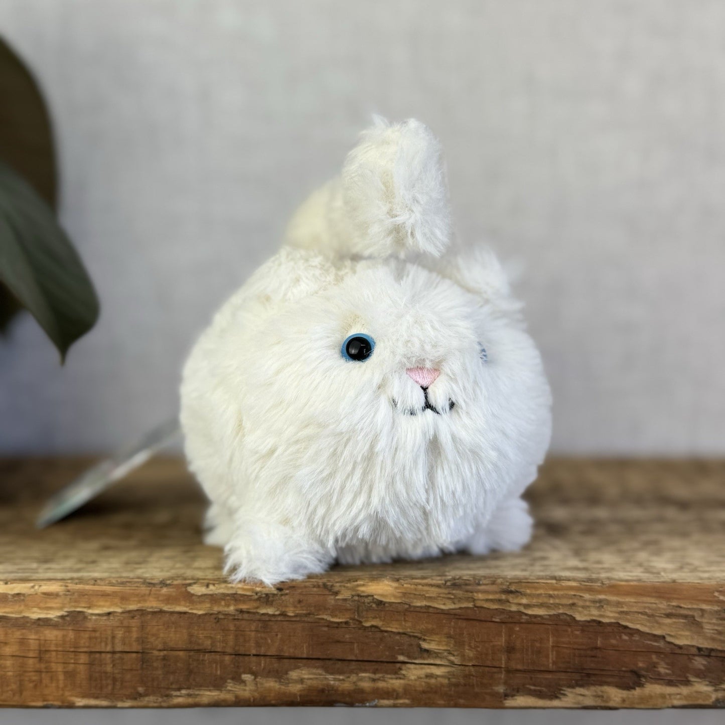 Jellycat Cat Cream Kitten Caboodle Cat Plush Soft Toy - Small Kitten Soft Toy 5”