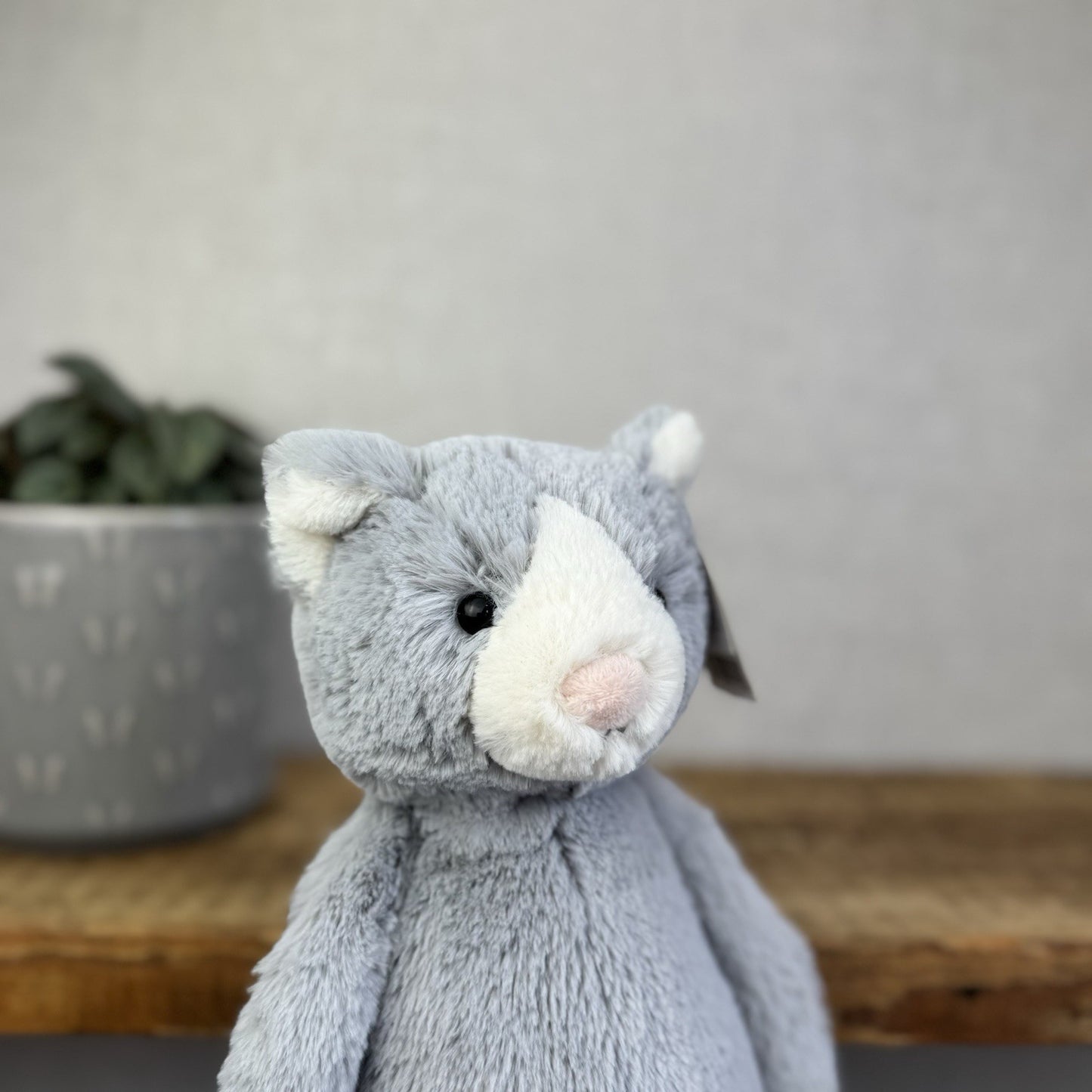 Jellycat Medium Bashful Cat - Grey/White Medium Kitten Plush - With Tags