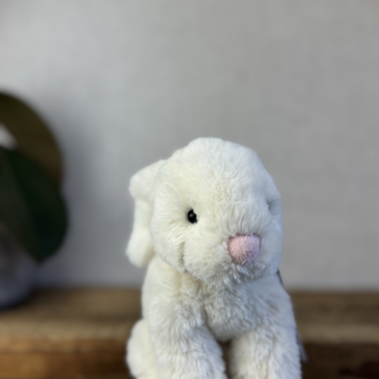Jellycat Small Riley Bunny - Cream Lop Ear Bunny Rabbit Soft Toy Retired 7”