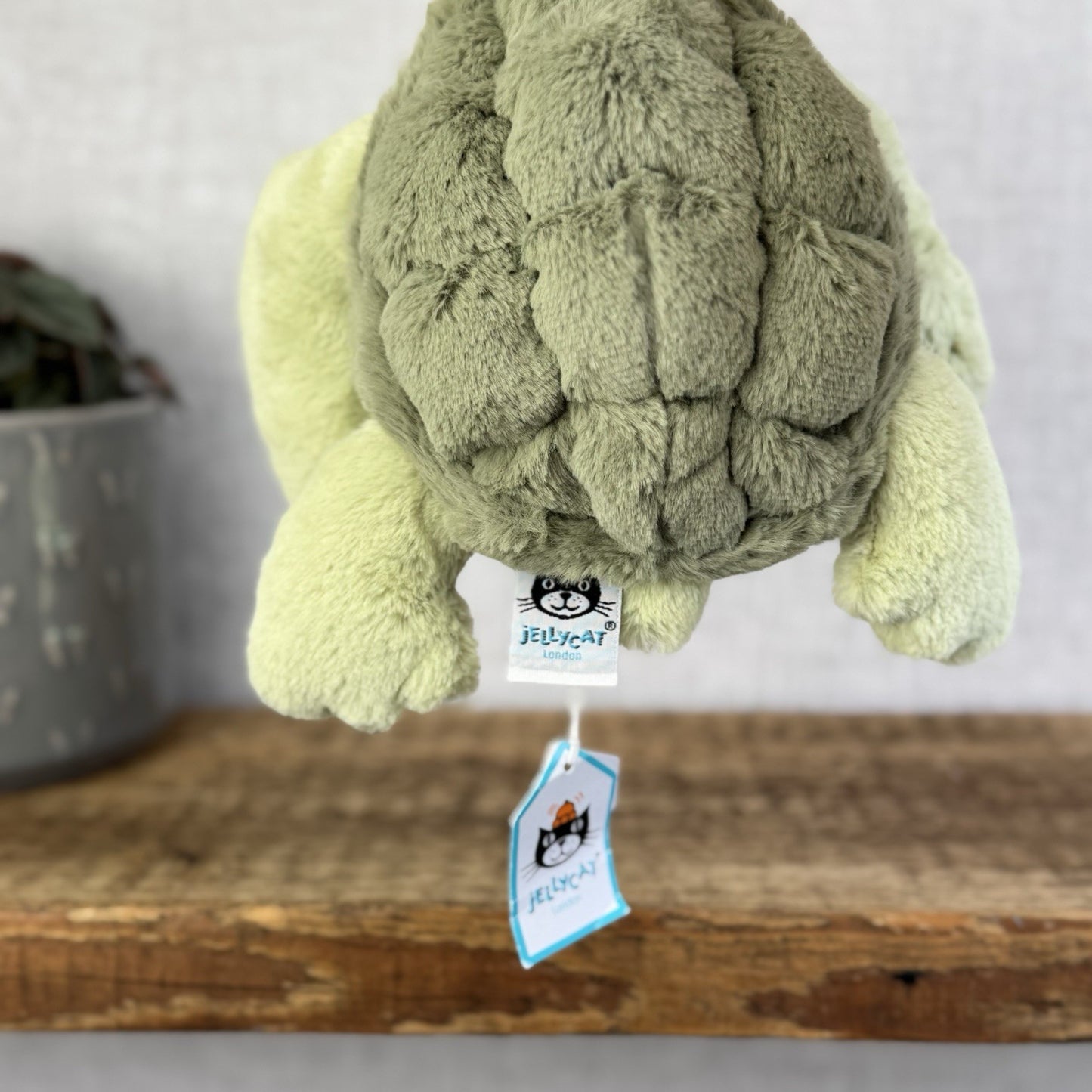 Jellycat Tully Turtle - Medium Beanie Green Soft Toy Turtle With Tags 10"